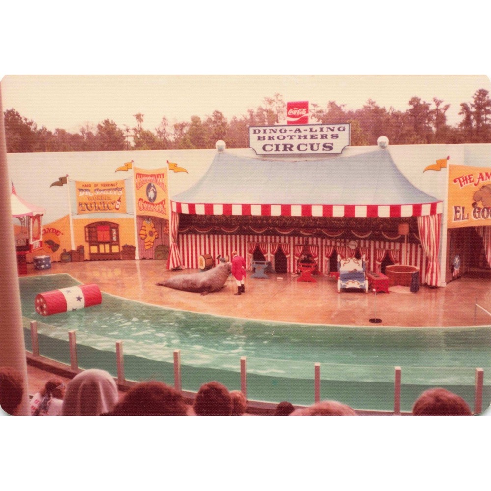 Vintage 1970s Ding-A-Ling Brothers Circus Sideshow Seal Act Photos Lot of 4 - Picture 2 of 4